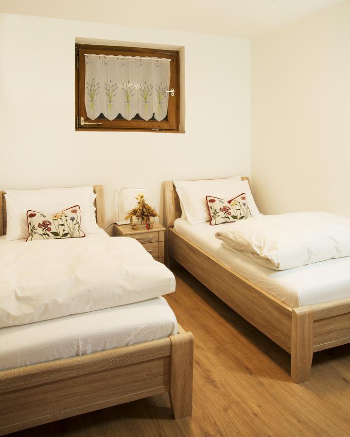 Apartments Cesa Bruma オルティゼーイ エクステリア 写真
